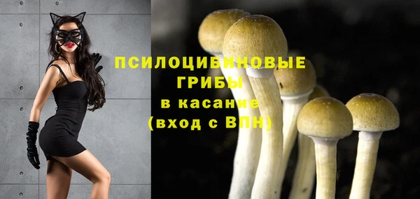 spice Абинск