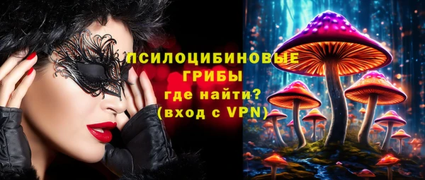 spice Абинск