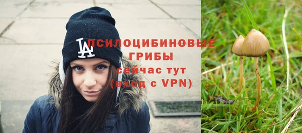 spice Абинск