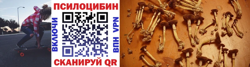 Псилоцибиновые грибы Psilocybe  Агрыз 